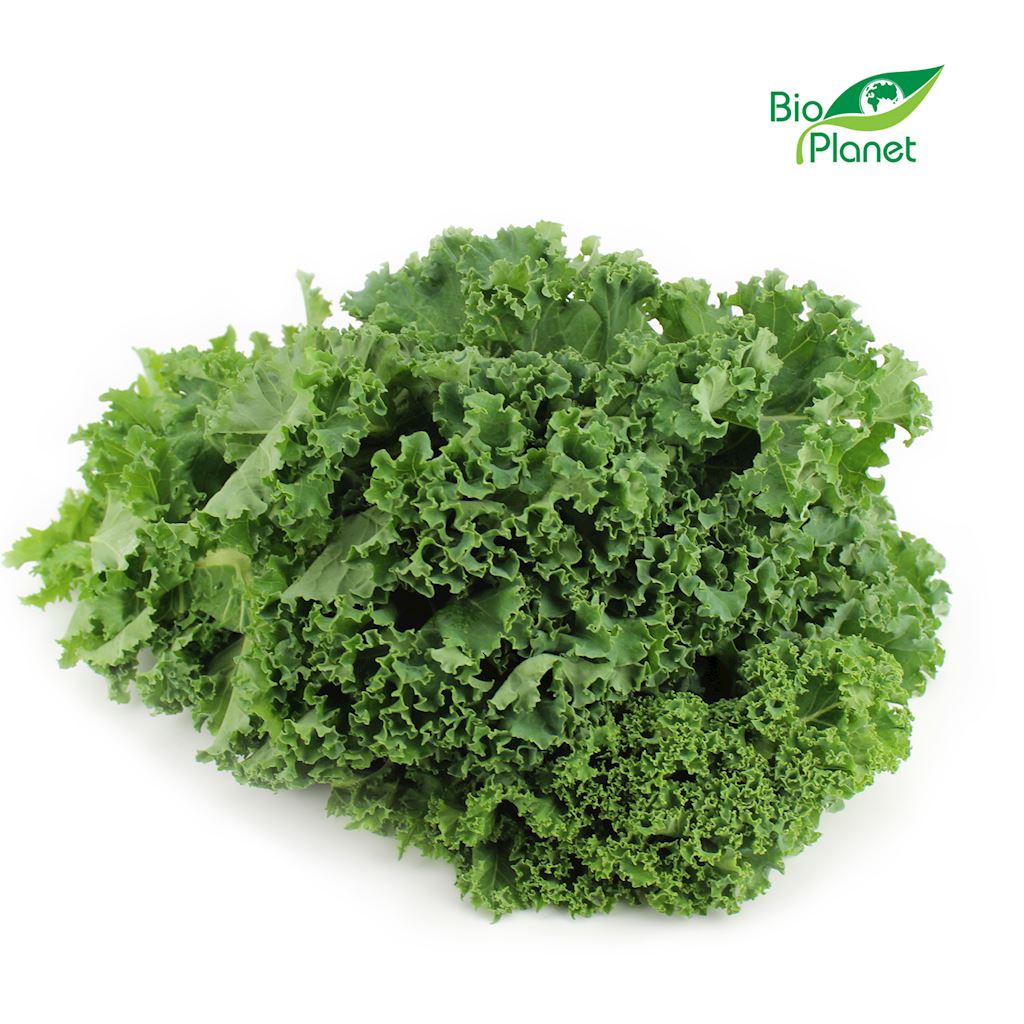 MULTIPACK (kg) - BIO-FRISCHER GRÜN (ca. 4 kg) - Biolaboratorium