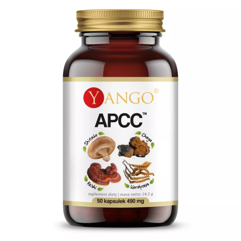 Apcc ™ Reishi Kordyceps Shitake Chaga 50 Kapseln YANGO - Biolaboratorium