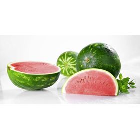 WASSERMELONE OK. 5KG SPANIEN - Biolaboratorium