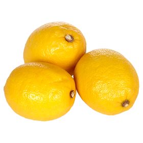 ZITRONE 5 KG PRO SAFT - Biolaboratorium