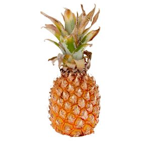 ANANAS BABY EAT ME 1 STÜCK MAURITIUS - Biolaboratorium