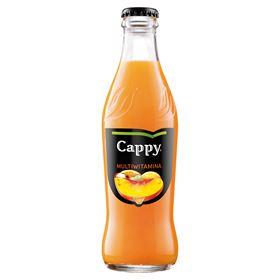 CAPPY MULTIVITAMIN MULTIFRUCHTGETRÄNK 250 ML 24 STÜCK - Biolaboratorium