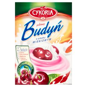 CHICORY-KIRSCHPUDDING 5 X 40 G - Biolaboratorium