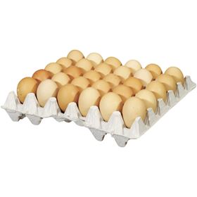 ARO BOWL EIER GRÖSSE M 30 STK - Biolaboratorium