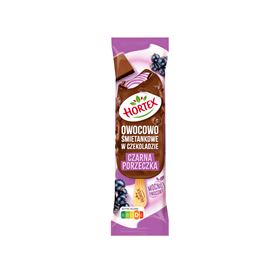HORTEX FRUCHT- UND CREME-EIS SCHWARZE JOHANNISBEERE IN MILCHSCHOKOLADE 120 ML - Biolaboratorium