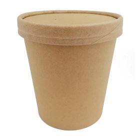 GUIL POJ+POK N/ZUP 450ML 25PCS PAPIER - Biolaboratorium