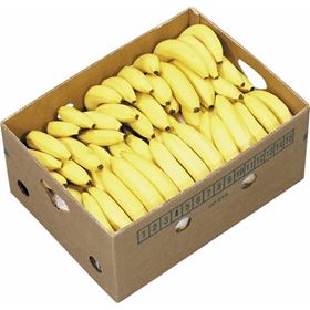 CHIQUITA BANANE 18 KG COSTA RICA - Biolaboratorium