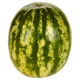 WASSERMELONE 1 KG Türkiye - Biolaboratorium