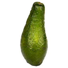 AVOCADO KALIBER 12 PERU - Biolaboratorium