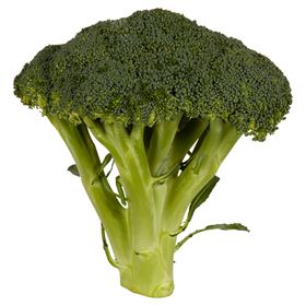 BROKKOLI 1 POLNISCHE ART - Biolaboratorium