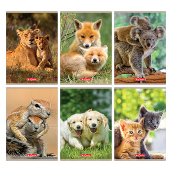 Notizbuch A5 16 doppelzeilig Herlitz Animals
