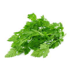 1 Bund Petersilie