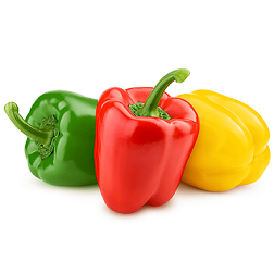 MISCHEN Paprika (rot, grün, gelb)