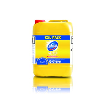 Citrus Fresh Domestos Professionelle Wasch- und Desinfektionsflüssigkeit 5l