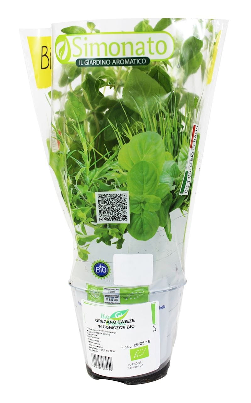 Frischer Oregano im BIO-Topf (1 Stk.)