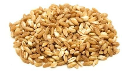 Dinkel (Getreide) BIO (Rohware) (25 kg) 8