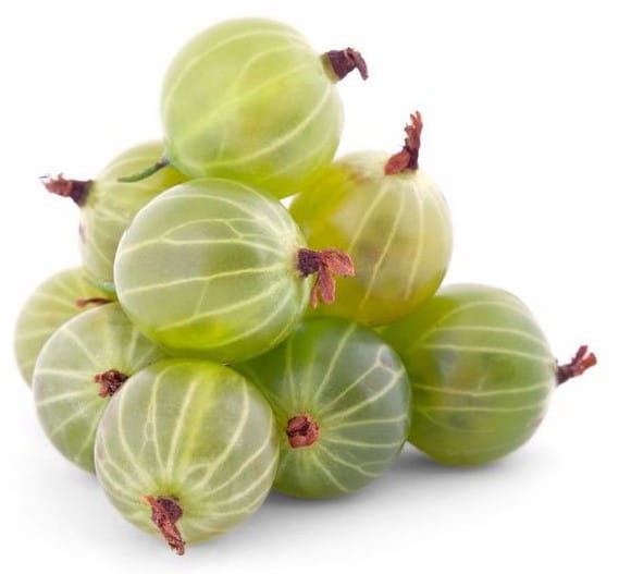 Großpackung (kg) - frische Stachelbeeren BIO (polnisch) (ca. 4 kg)