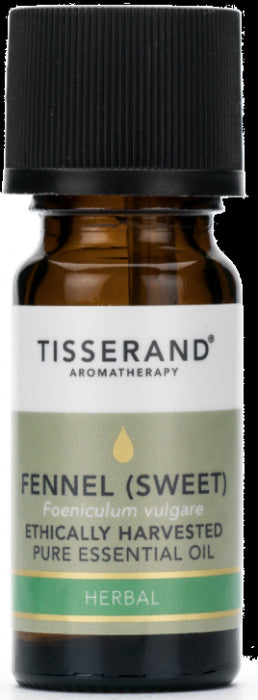 Fenchel süß ethisch geerntetes Fenchelöl 30 ml TISSERAND