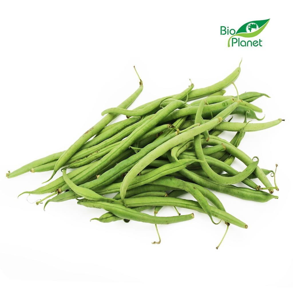 Grüne Bio-Bohnen (ca. 0,50 kg) - Biolaboratorium