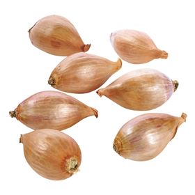 ZWIEBELSCHALOTTE 1 KG POLEN