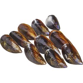 MULEX 5 KG NIEDERLANDE