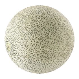 METRO CHEF MELONE KANTALOUPE KALIBER 4 SPANIEN