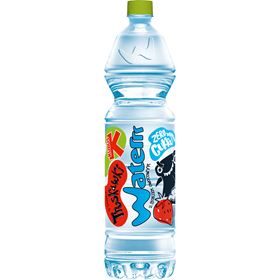 KUBUŚ WATERRR GESCHMACK ERDBEER 1,5 L 6 STÜCK