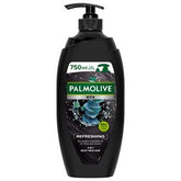 PALMOLIVE MEN ERFRISCHENDES 2IN1 DUSCHGEL UND SHAMPOO 750 ML