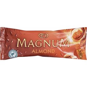 MAGNUM-MANDEL-EIS 120 ML 20 STÜCK