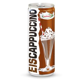 HOCHWALD EISKAFFEE CAPPUCCINO DOSE 250 G 24 STÜCK