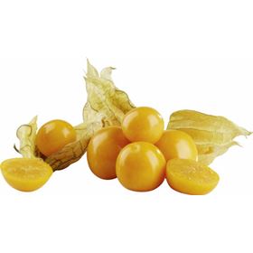 PHYSALIS 100G KOLUMBIEN
