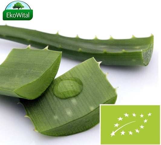 66b8bc72c837d8a4346fc61d8e5832f3