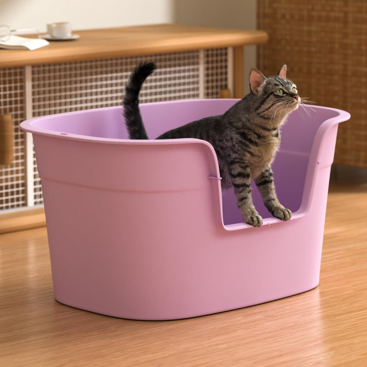 Große ovale Katzentoilette mit Rahmen lustige Farbe 38x50x14cm Fuchsia [Y3610-1398 FUKS] - YARRO