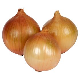 GELBE ZWIEBELROHR 380 G ITALIEN