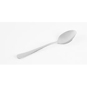 AMEFA AUSTIN TEELÖFFEL 12 STK - Biolaboratorium