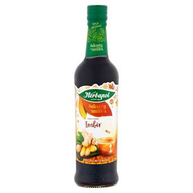 HERBAPOL NAHRUNGSERGÄNZUNGSMITTEL SIRUP MIT GINGERGESCHMACK 420 ML - Biolaboratorium