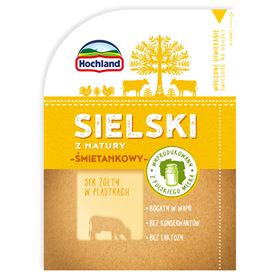 HOCHLAND GELBER FRISCHKÄSE IN SCHEIBEN 120 G - Biolaboratorium