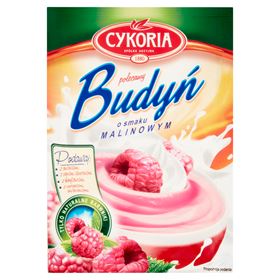 CHICORY-PUDDING MIT HIMBEERGESCHMACK 40 G 35 STÜCK - Biolaboratorium