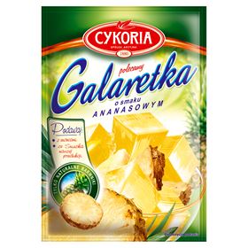 CHICORY-GELEE MIT ANANAS-GESCHMACK 75 G - Biolaboratorium