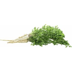 BIO-PETTERSILIE 1 KG POLEN - Biolaboratorium