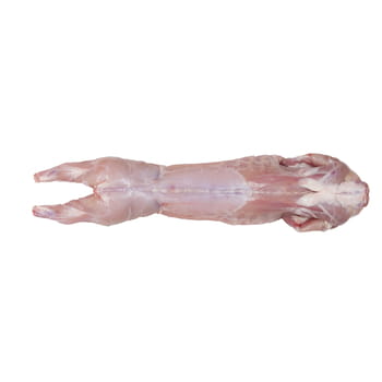 Fleisch Kaninchenkadaver Fleischspezialitäten (nach Gewicht) 1,6 kg