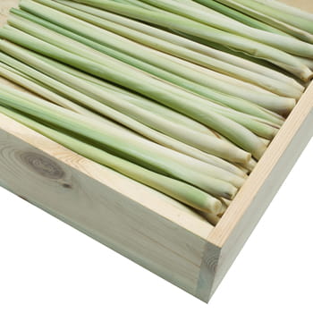 Zitronengras 250g (verpackt)