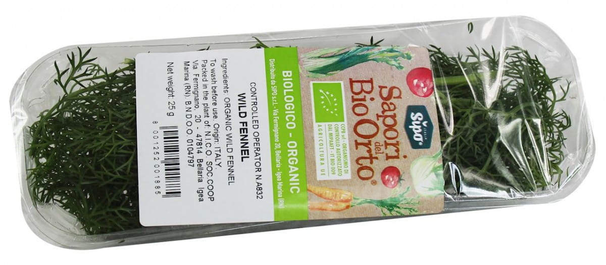 Frischer Bio-Dill (ca. 25 g)