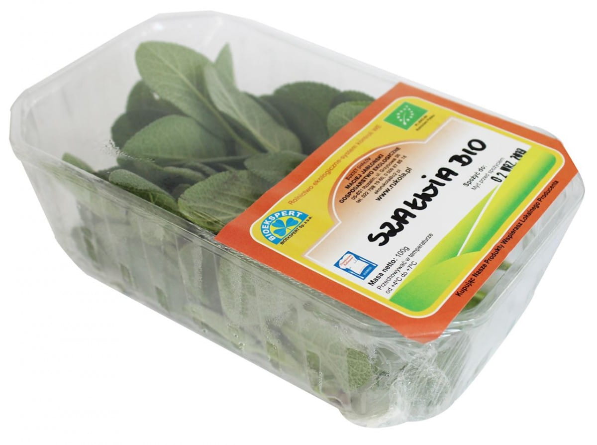 Frischer Salbei BIO (polnisch) (ca. 50 g)