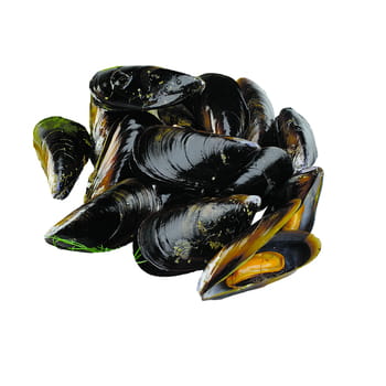 Meeresfrüchte Essbare Muscheln netto ca. 1 kg