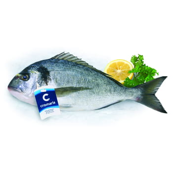 Dorada-Fisch, ganz, ca. 350g