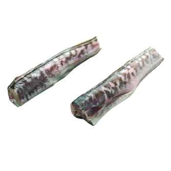 Fish Royal Quappenkarkasse ca. 350g