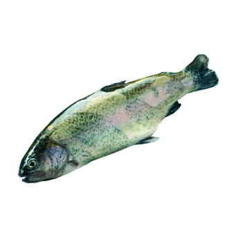 Fisch Ausgenommene Regenbogenforelle ca. 360g