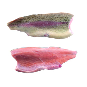 Fisch Lachsforellenfilet mit Haut ca. 570g