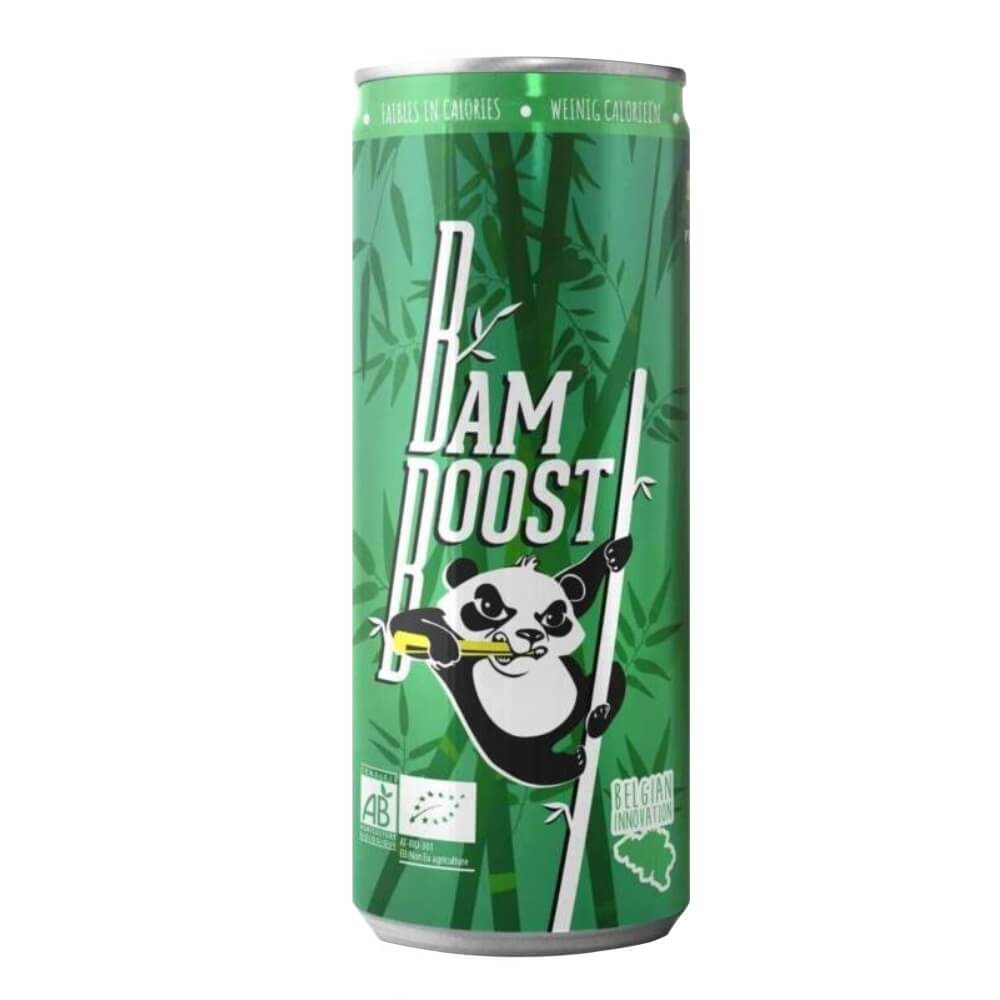 Kohlensäurehaltiges Energiegetränk BIO 250 ml - WISE